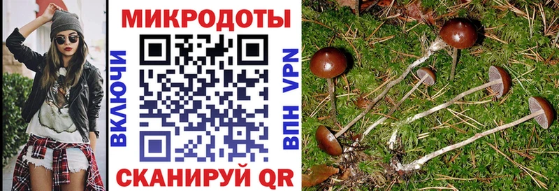 что такое наркотик Новокубанск Псилоцибиновые грибы MAGIC MUSHROOMS